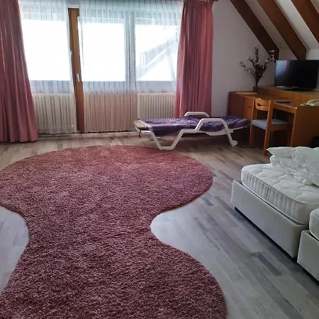 Faller Otel Breitnau