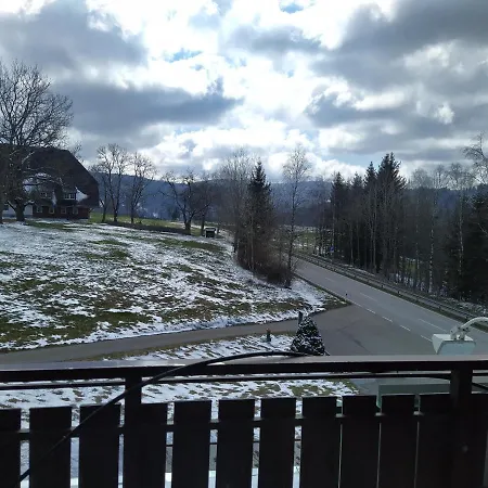 Hotel Faller 3*
