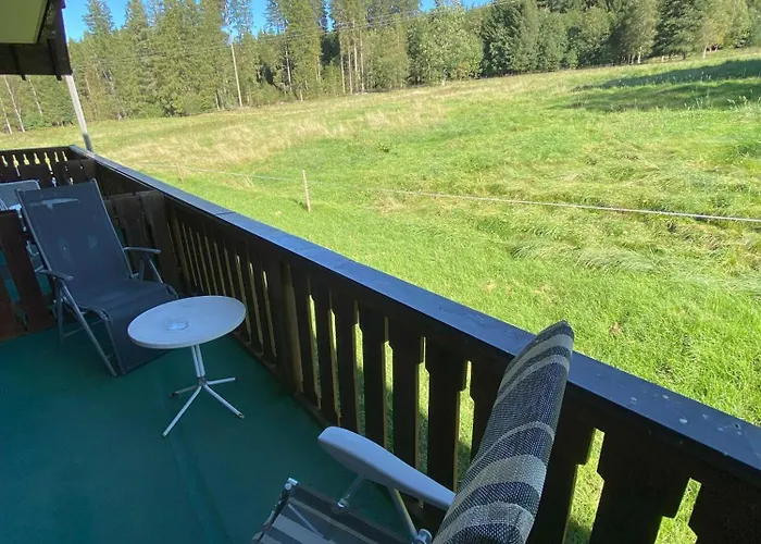 Faller Hotel Breitnau